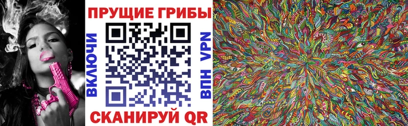 хочу наркоту Геленджик Галлюциногенные грибы мухоморы